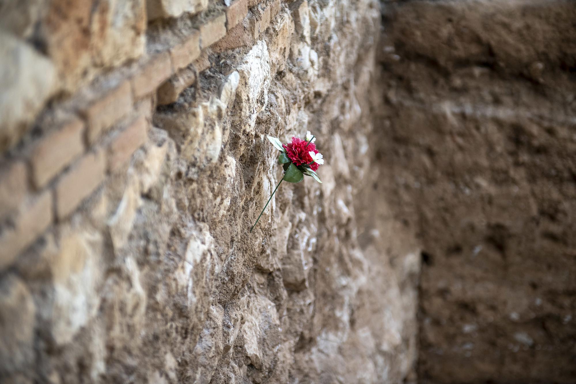 Exhumación en Guadalajara de una veintena de fusilados - 6